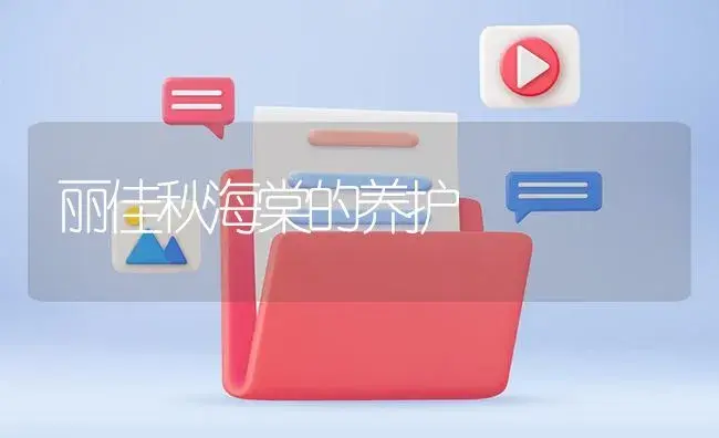 丽佳秋海棠的养护 | 植物知识