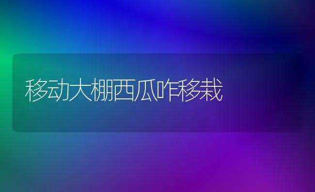 移动大棚西瓜咋移栽 | 植物科普