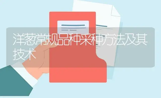 洋葱常规品种采种方法及其技术 | 植物百科