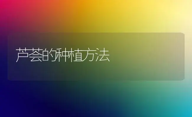 芦荟的种植方法 | 植物知识