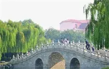 打造“柳树之乡” 建设生态济阳