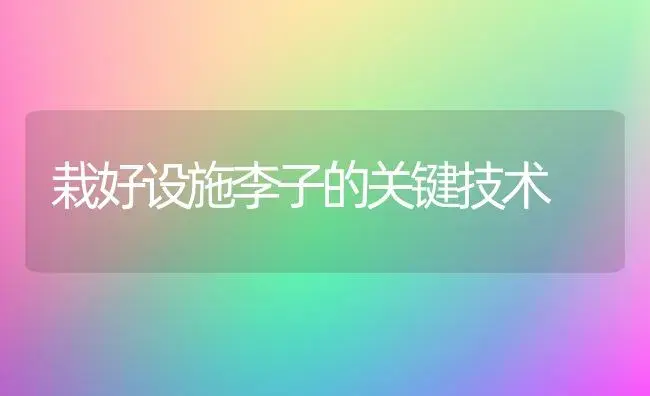 栽好设施李子的关键技术 | 植物科普