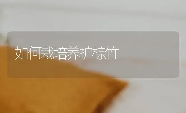 春小麦播种技术 | 植物科普
