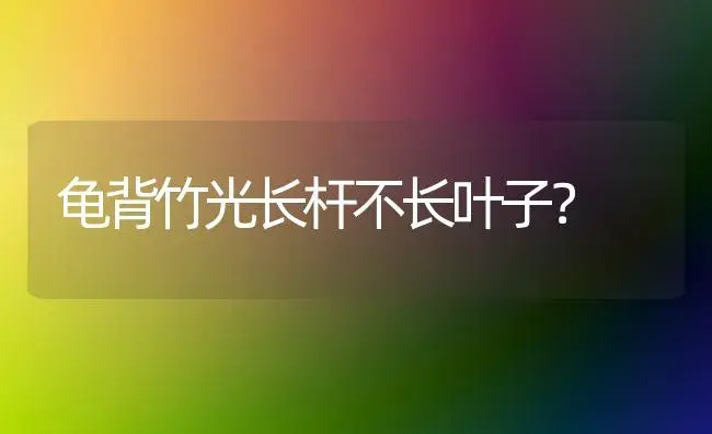 龟背竹光长杆不长叶子？ | 植物问答