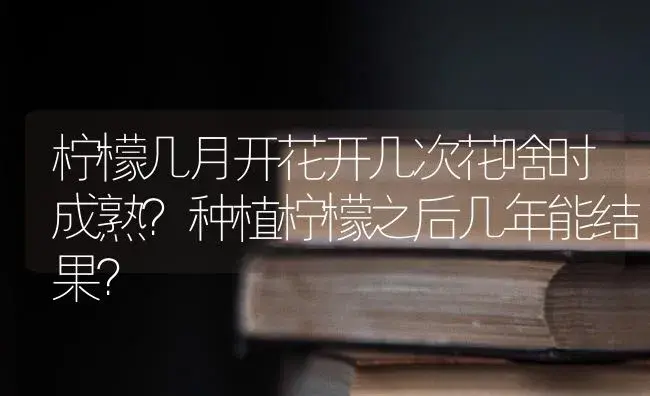 柠檬几月开花开几次花啥时成熟？种植柠檬之后几年能结果？ | 植物百科