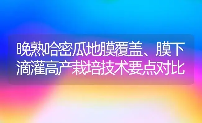 晚熟哈密瓜地膜覆盖、膜下滴灌高产栽培技术要点对比 | 植物科普