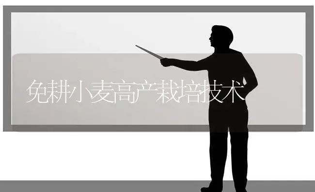免耕小麦高产栽培技术 | 植物科普