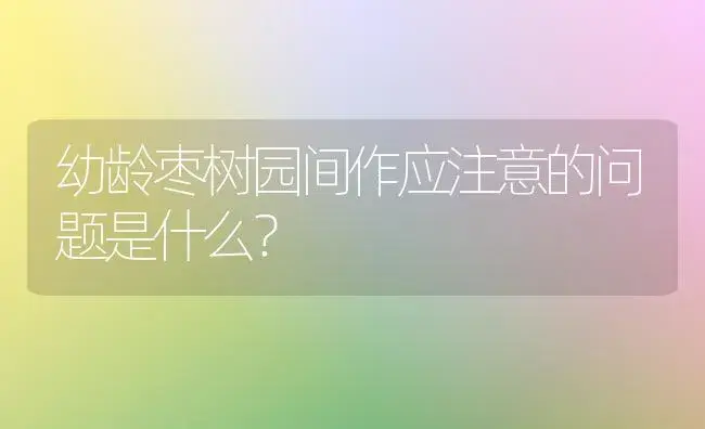 幼龄枣树园间作应注意的问题是什么？ | 植物科普