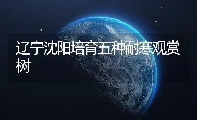 辽宁沈阳培育五种耐寒观赏树 | 植物知识