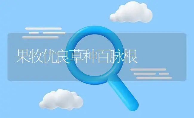 沙养水仙花既省时又省力 | 植物知识