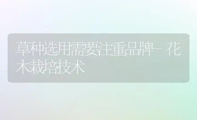 草种选用需要注重品牌-花木栽培技术 | 植物科普