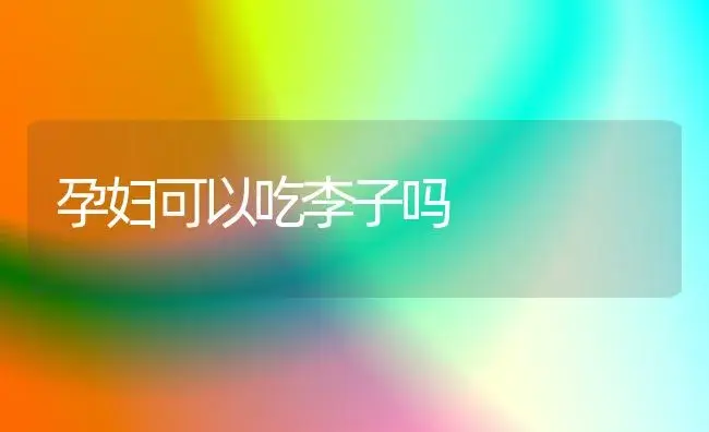 孕妇可以吃李子吗 | 植物科普