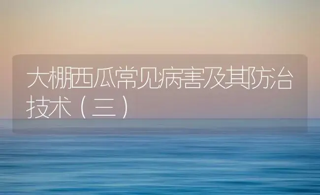 重庆地区枇杷春季管理技术要点 | 植物百科