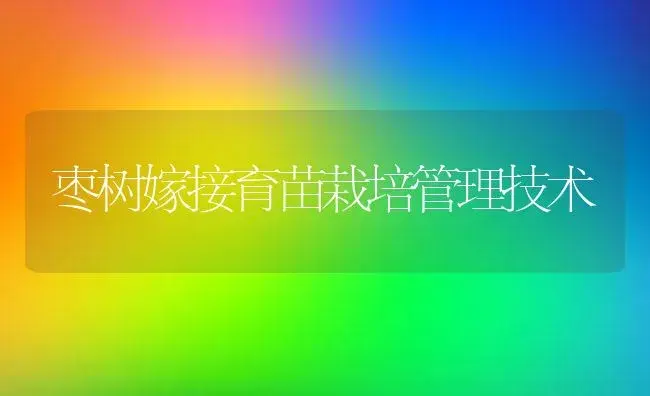枣树嫁接育苗栽培管理技术 | 植物知识