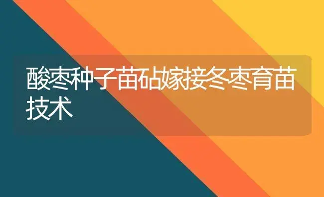 酸枣种子苗砧嫁接冬枣育苗技术 | 植物科普