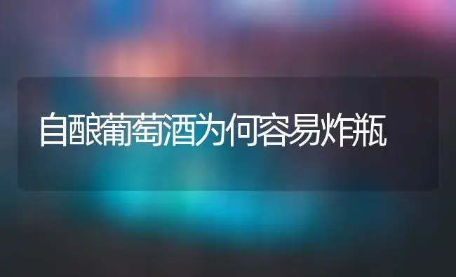 自酿葡萄酒为何容易炸瓶 | 植物科普