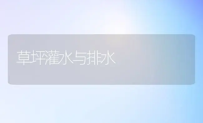 草坪灌水与排水 | 植物知识