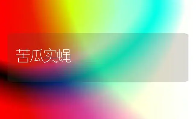 苦瓜实蝇 | 植物百科