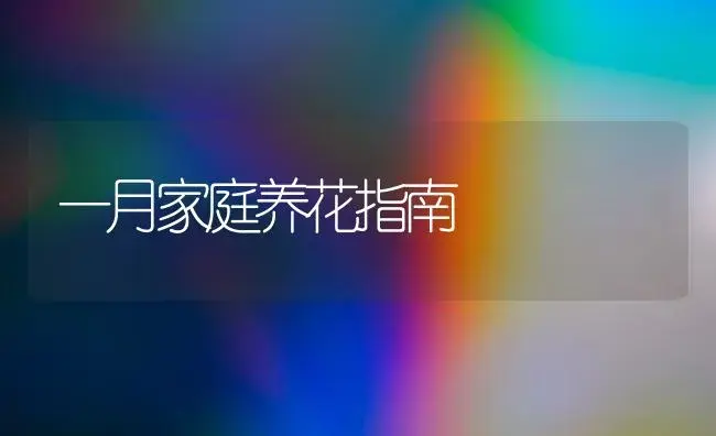 金针菇新法栽培效益高 | 植物科普