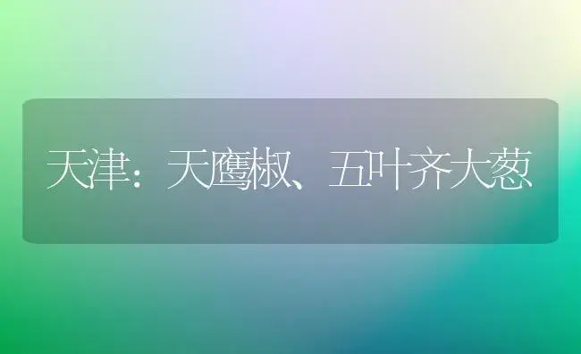 河北迁西板栗四大优种介绍 | 植物科普