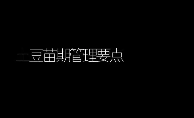 礼品南瓜新品种碧玉 | 植物百科