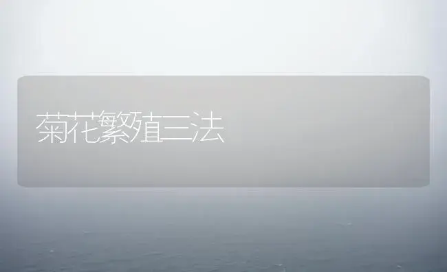 迎春水插繁殖技术 | 植物知识