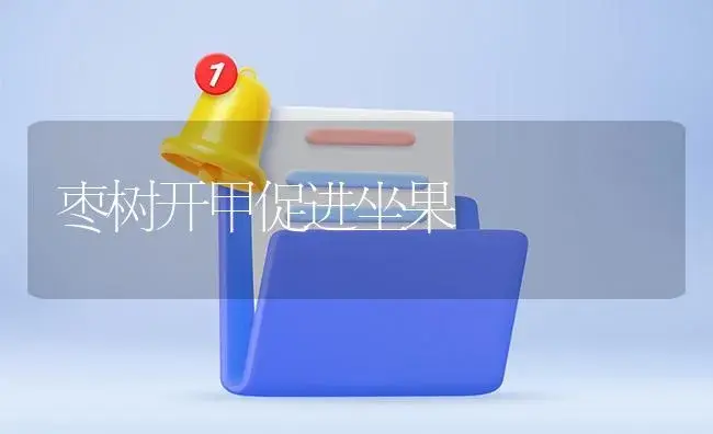 枣树开甲促进坐果 | 植物知识
