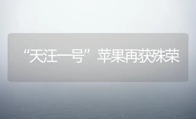 “天汪一号”苹果再获殊荣 | 植物科普