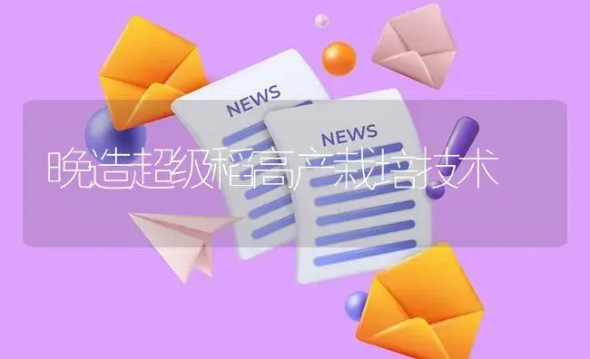 晚造超级稻高产栽培技术 | 植物资料