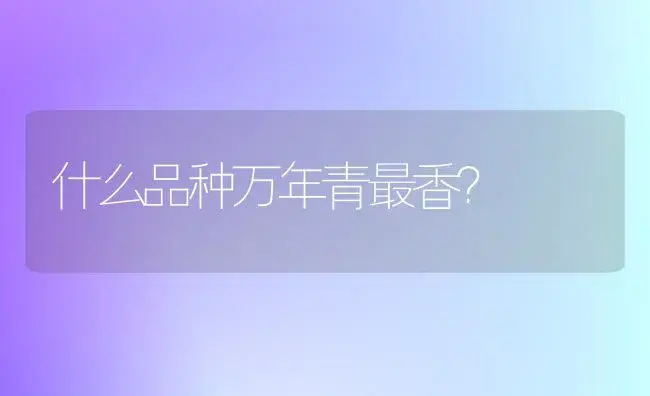 什么品种万年青最香？ | 植物问答