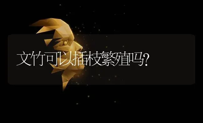 富贵竹放在餐桌上好吗？ | 植物问答