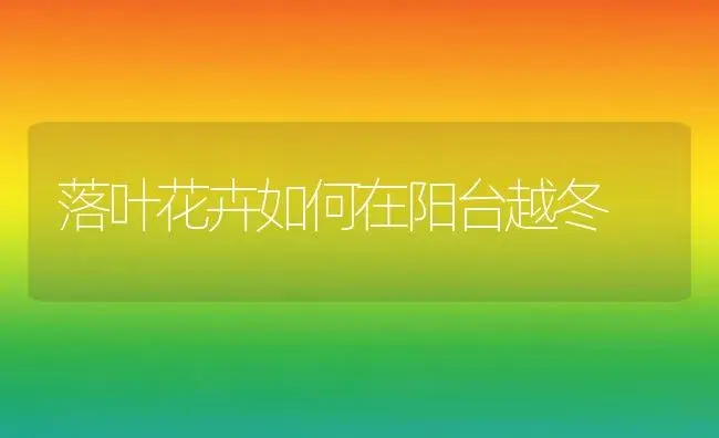 落叶花卉如何在阳台越冬 | 植物科普