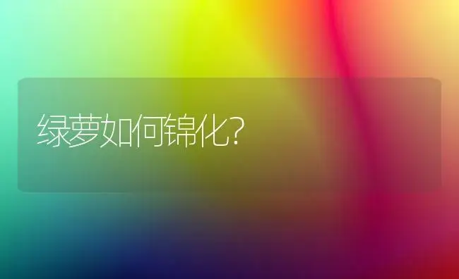 绿萝如何锦化？ | 植物问答