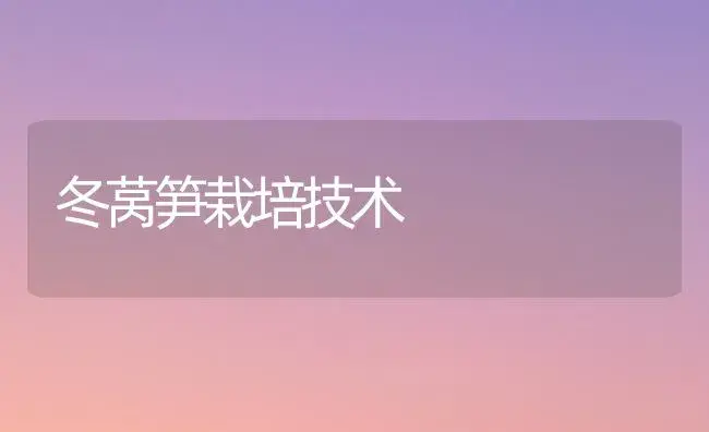 冬莴笋栽培技术 | 植物科普