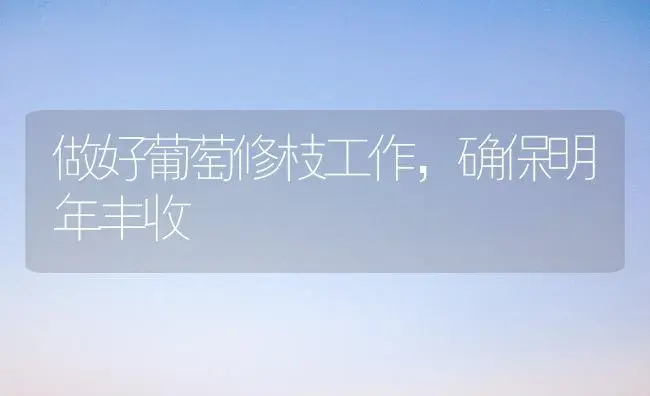 做好葡萄修枝工作，确保明年丰收 | 植物科普