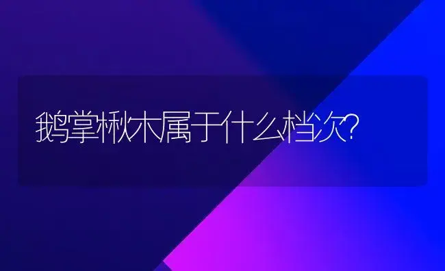 鹅掌楸木属于什么档次？ | 植物问答