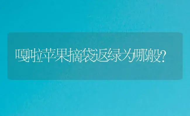 嘎啦苹果摘袋返绿为哪般？ | 植物百科