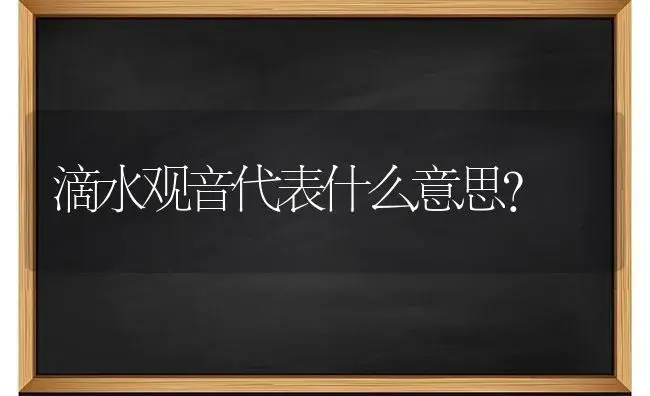 滴水观音代表什么意思？ | 植物问答