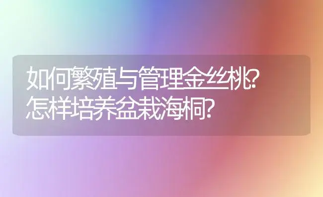 如何繁殖与管理金丝桃? 怎样培养盆栽海桐? | 植物知识