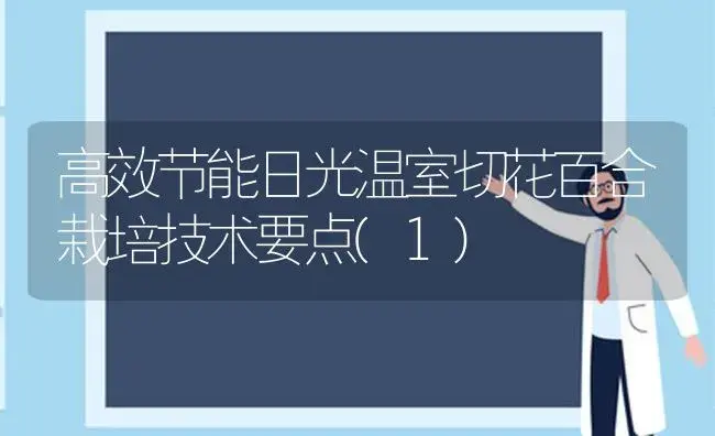 高效节能日光温室切花百合栽培技术要点(1) | 植物科普