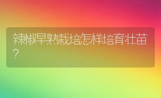辣椒早熟栽培怎样培育壮苗？ | 植物百科