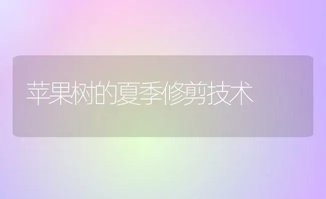 苹果树的夏季修剪技术 | 植物科普