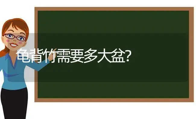 龟背竹需要多大盆？ | 植物问答