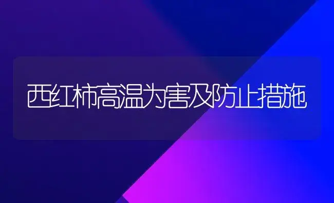 西红柿高温为害及防止措施 | 植物百科