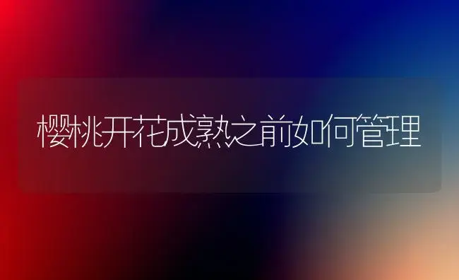 樱桃开花成熟之前如何管理 | 植物科普