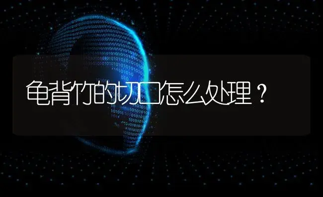 龟背竹的切口怎么处理？ | 植物问答