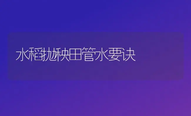 水稻抛秧田管水要诀 | 植物科普