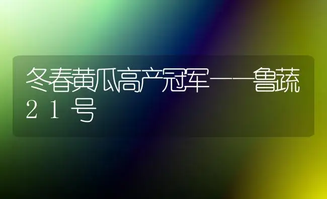 冬春黄瓜高产冠军——鲁蔬21号 | 植物科普