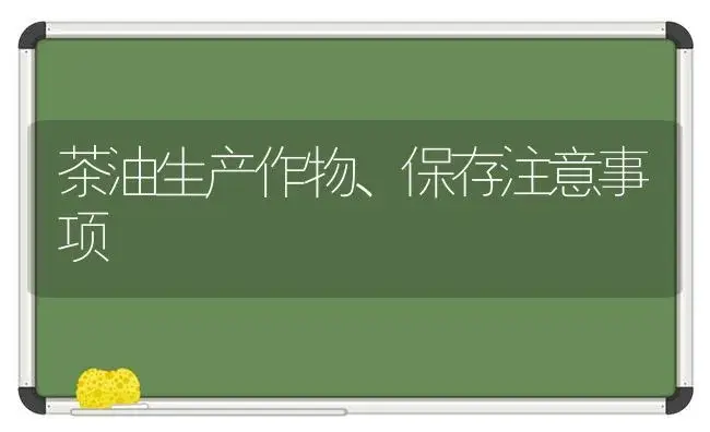 茶油生产作物、保存注意事项 | 植物知识