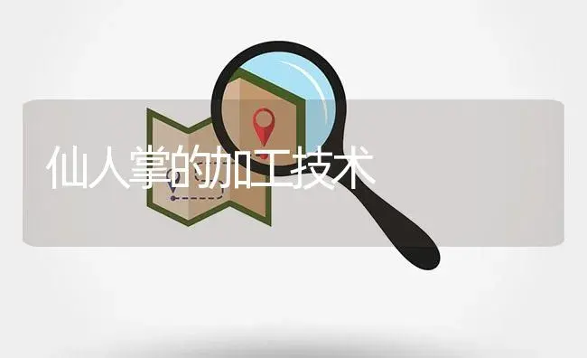 仙人掌的加工技术 | 植物知识